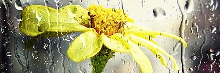 Energie update Blauwe Storm levenspad 22 april - 4 mei 2023: Kiezen voor nieuw leven